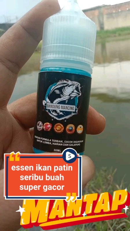aroma seribu buah nya bikin gacor 👍#essenikanpatin #essenpatin #mancingikanpatin #GratisOngkirRP0 #GakNyeselBeliIni #PromoNonStop #RacunShopee