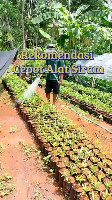 #ceporalatsiram #ceporsprayer #ceportanaman #ceporgembor #alatsiramtanaman #ceporspayerselang #RacunShopee #SpillRacunShopee #shopeevideo #fyp