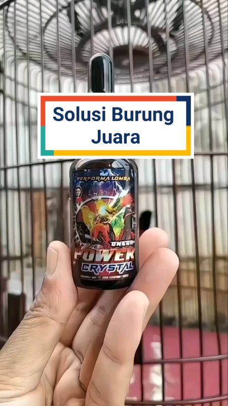 #ShopeeCOD #PromoNonStop #GratisOngkirRP0 #ShopeeReview #omegapowercrystal #ObatBurung #kicaumania #SpillBawaBerkah #RacunShopee #pecintaburung