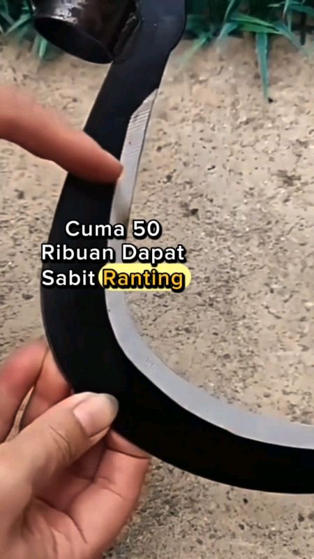sabit pemotong ranting dahan #SpillRacunShopee #alatpertanian #sabit #pemotongranting #DiskonRacunShopeee #murahanbanget #GratisOngkirRP0 #CODinApa