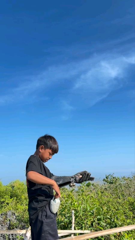 Rekomendasi sarung tangan untuk elang
