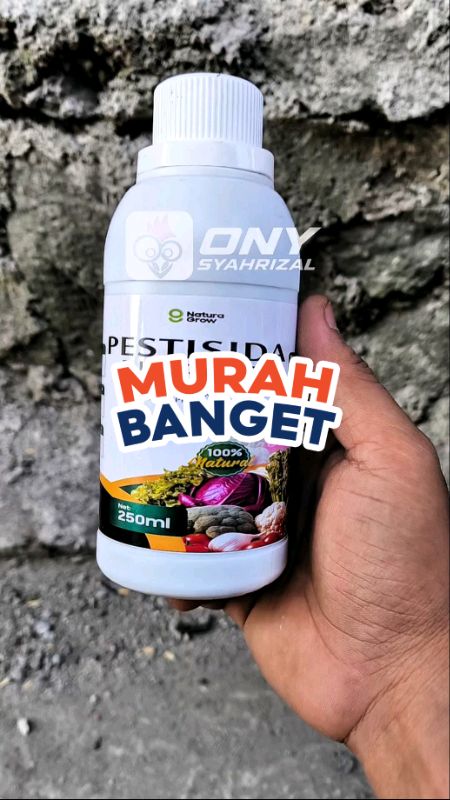pestisida nabati #pestisida #pestisidanabati #pestisidaorganik #pembasmihama #pembasmihamatanaman