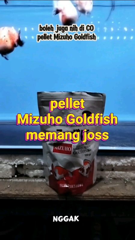 #GratisOngkirRP0 #RacunShopee #Cashback50Persen #SpillRacunShopee #ShopeeCOD #ShopeeVideoCreator