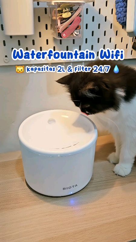 water fountain wifi #ShopeeVideoCreator #RacunShopeeCheck #SpillRacunShopee #SpillBawaBerkah #ViralDiShopeeVideo