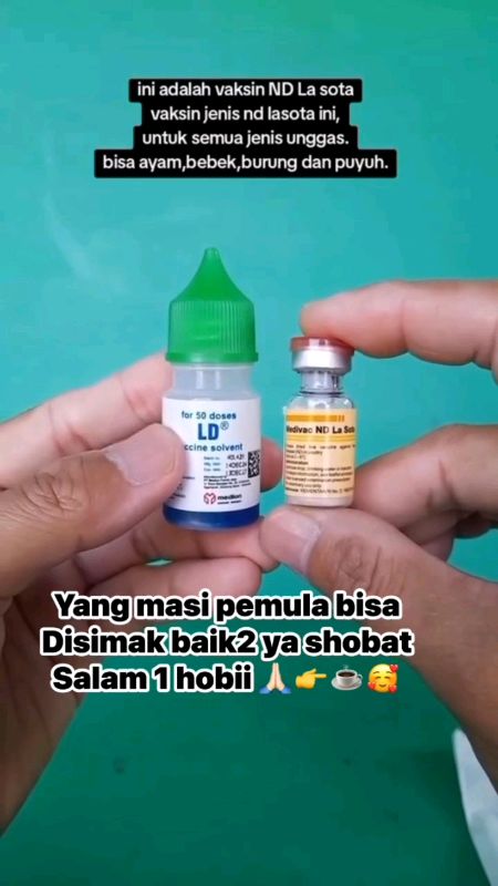 VAKSIN ND LASOTA #GratisOngkirRPO #GratisOngkirRPO🔥🔥🔥 #shopeeCOD #GakNyeselBeliIni😱😱 #SpillBawaBerkah #ViralDiShopeeVideo #RacunShopee