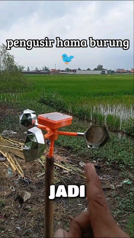 #RacunShopee #BadaiTapiBudget #GratisOngkirRP0 #SpillBawaBerkah #Diskon50Persen #GakNyeselBeliIni #pengusirburung #hamasawah #hamaburung #petanimuda