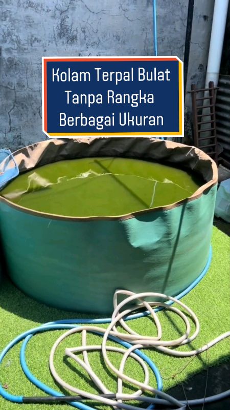 Kolam Terpal Bulat Tanpa Rangka #kolam #kolamterpal #SpillRacunShopee #RacunShopee #DiskonRacunShopee #ViralDiShopeeVideo