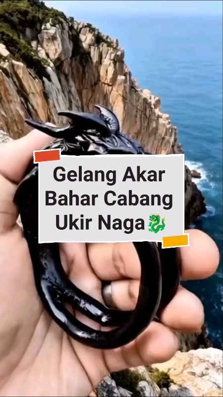 Gelang Akar Bahar cabang dengan ukiran naga detail halus, menghadirkan kesan mistik, kuat, dan penuh karisma #RacunShopee #ShopeeFashionHaul