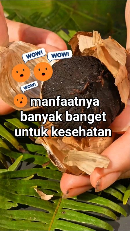 manfaatnya banyak banget untuk kesehatan tubuh #blackgarlic #blackgarlicpremium #blackgarlictunggal #BlackGarlicHSD #RacunShopee #55BigSale