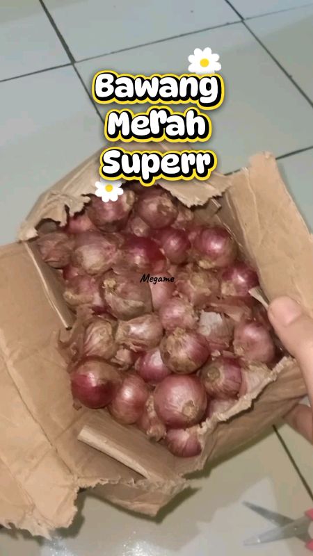 Bawang merah lagi naik dauuunn #bawangmerahmurah #bawangmerah #bawangmerahsuper #bawangmerahindia #bawangmerah1kg