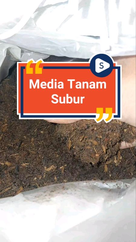 #mediatanam #mediatanahsubur #Diskon50Persen #ShopeeCOD #GratisOngkirRP0‍ #ShopeeLook #RacunShopee #SpillRacunShopee #SpillBawaBerkah #tanahtanaman