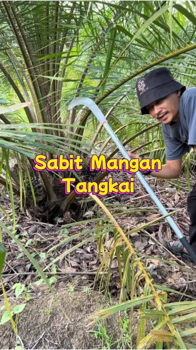 Sabit mangan tangkai untuk petik buah dan pruning sawit #RacunShopee #shopelook #spilracunshopee #spilbawaberkah #ShopeeCOD #shopevidio
