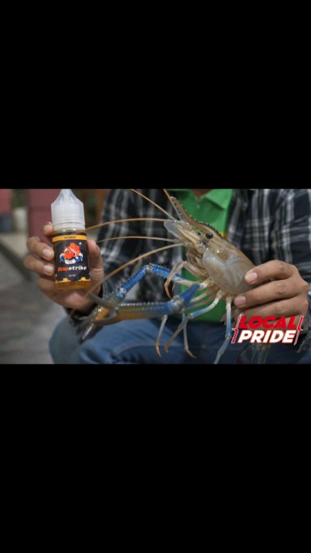 Essen paling manjur buat mancing udang#essenudanggalah