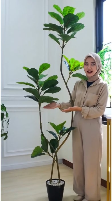 #pohonketapang #pohonketapangpalsu #pohonketapangartificial #pohonartificial #pohonhiasartificial #pohondekorasirumah #pohonketapanghias #pohonhiasan