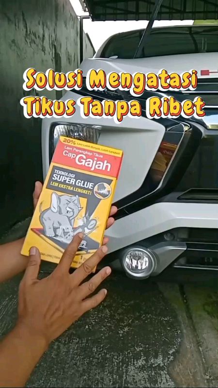 Lem Perangkap Tikus 60gr X 10 Super Lengket Paket Promo #lemtikus #perangkaptikus #lemtikuspapanjebakan #lemtikussuperlengket