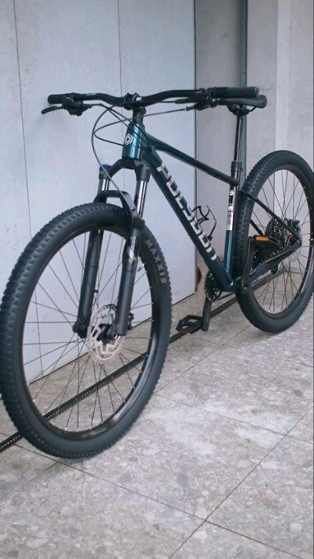 xtrada 7 2026