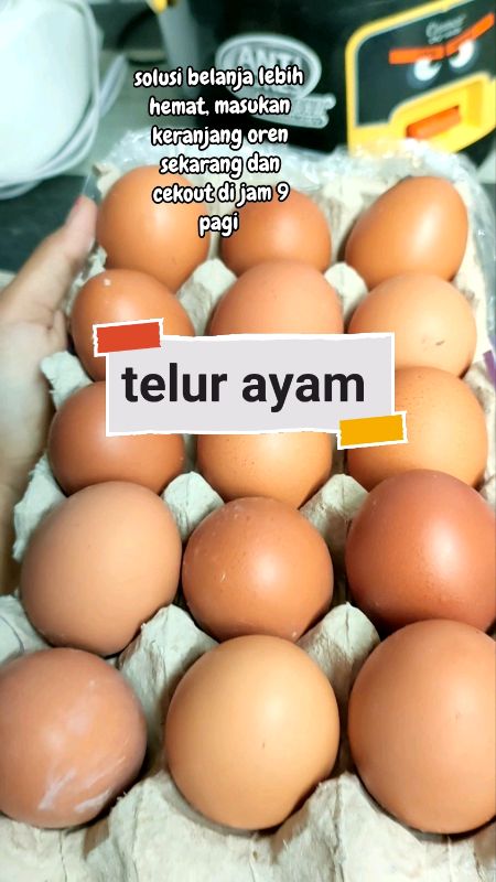 telur kebutuhan pokok yang wajib ada di rumah, stok sekarang juga #telurayam #voucher50persen #fyp #RacunShopee #RacunShopeeCheck