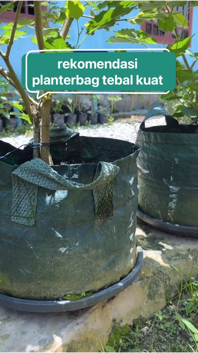 rekomendasi planterbag, tebal kuat tahunan !! #Diskon40RB #DiskonRacunShopee #berkebundirumah #emarselagarden #kebunemarsela #RacunShopee