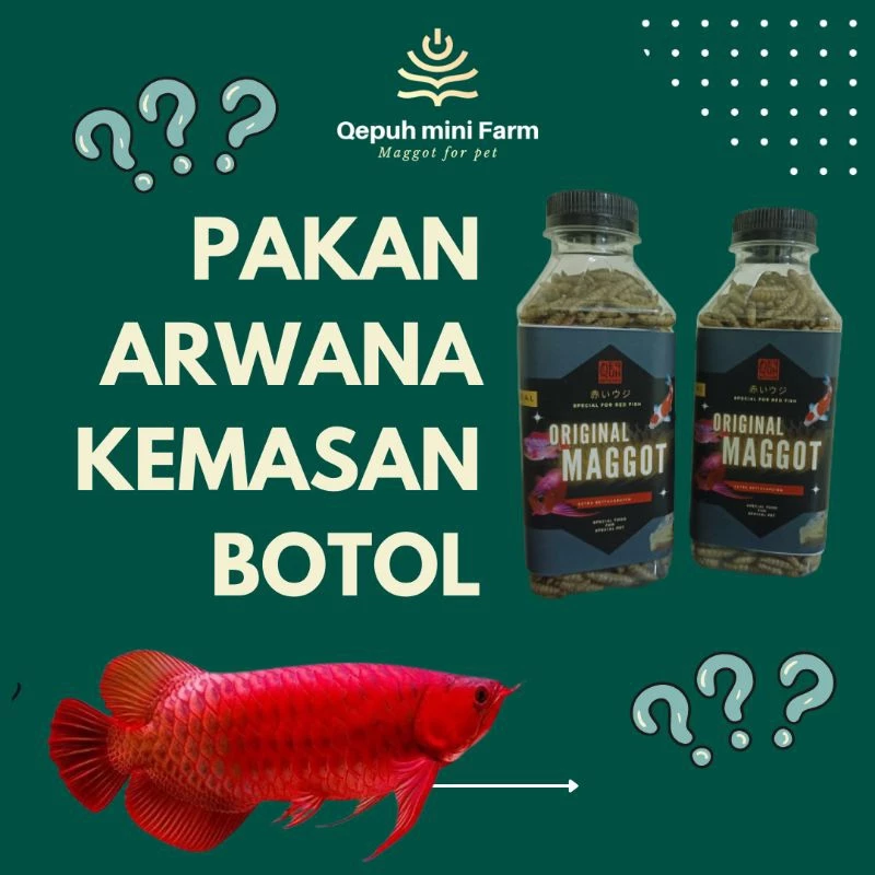 Pakan Pelet Predator Premium
