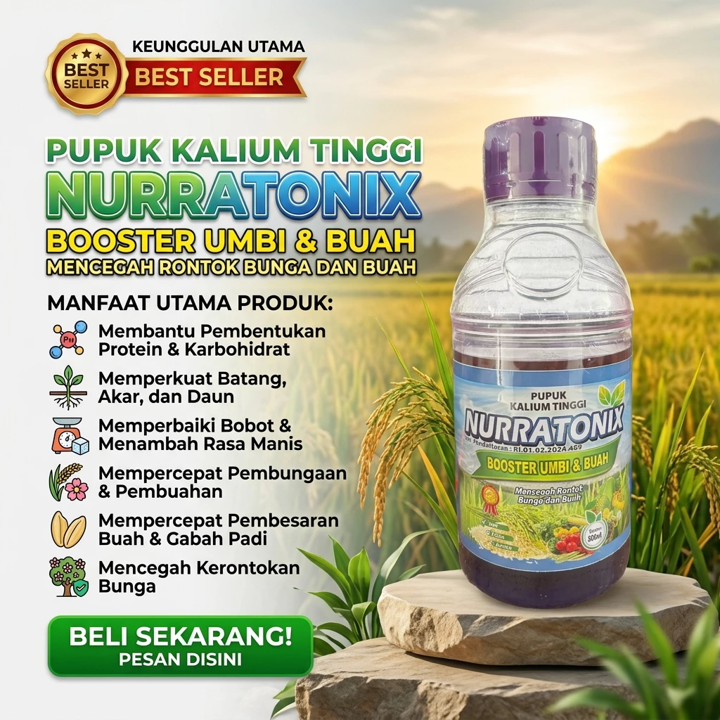 KALIUM NURRATONIX PUPUK KALIUM CAIR 500ML BOOSTER UMBI DAN BUAH PANEN MAKSIMAL Pembesar Umbi Bawang Merah Kentang Wortel Nutrisi Melebatkan Buah Cabe Padi Jeruk Melon Semangka Pupuk KCL Cair Tinggi Kalium Organik Berkualitas Terbaik