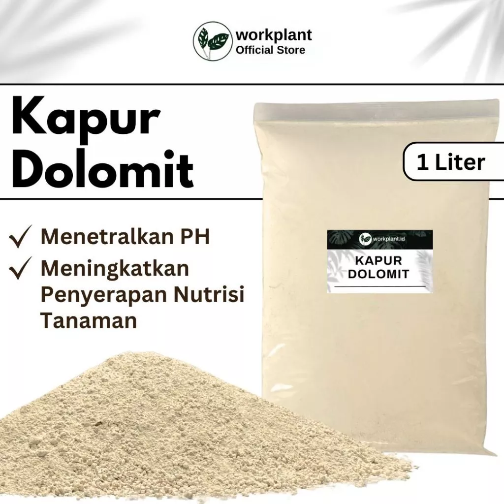 Workplant - Kapur Dolomit Untuk Tanaman Hias Dan Alas Reptil