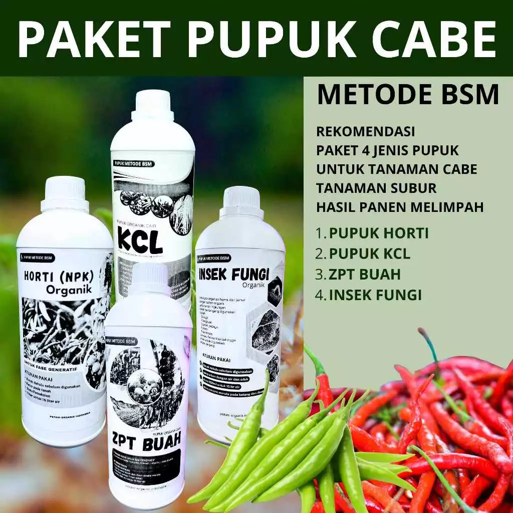 PUPUK CABE metode BSM 4 JENIS PUPUK HORTI, KCL, ZPT BUAH, FUNGI hasil panen melimpah dengan pupuk organik metode bsm