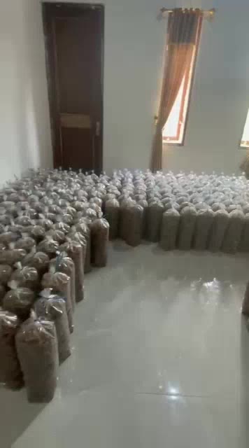 Checkout sekarang dari Keranjang Oren ☝️