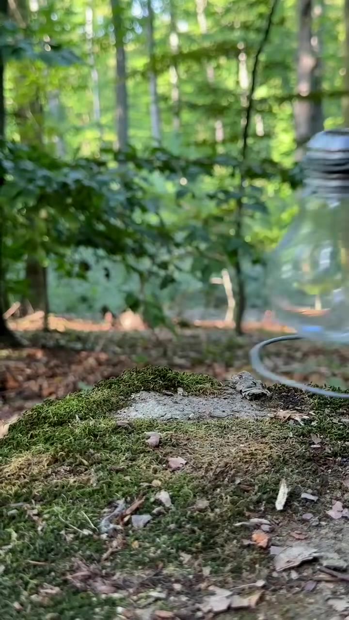Survival Skills: Make an oil lamp with your own hands. #survival #Outdoors #camping #lifehacks #ideas #forest #skills #bushcraft