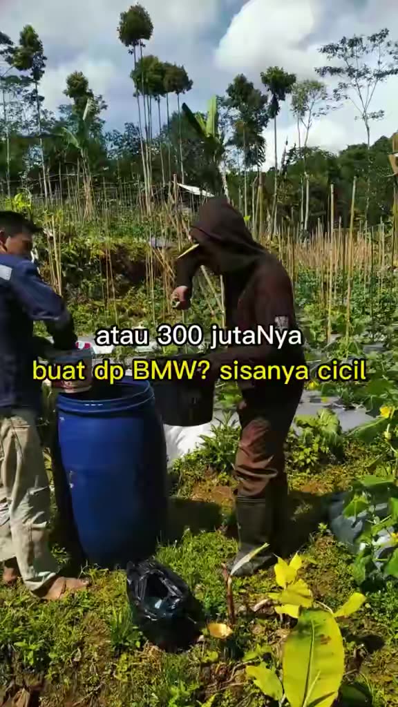Lu punya duit 300 juta buat apa guys ?  #petanimuda #pertanianindonesia