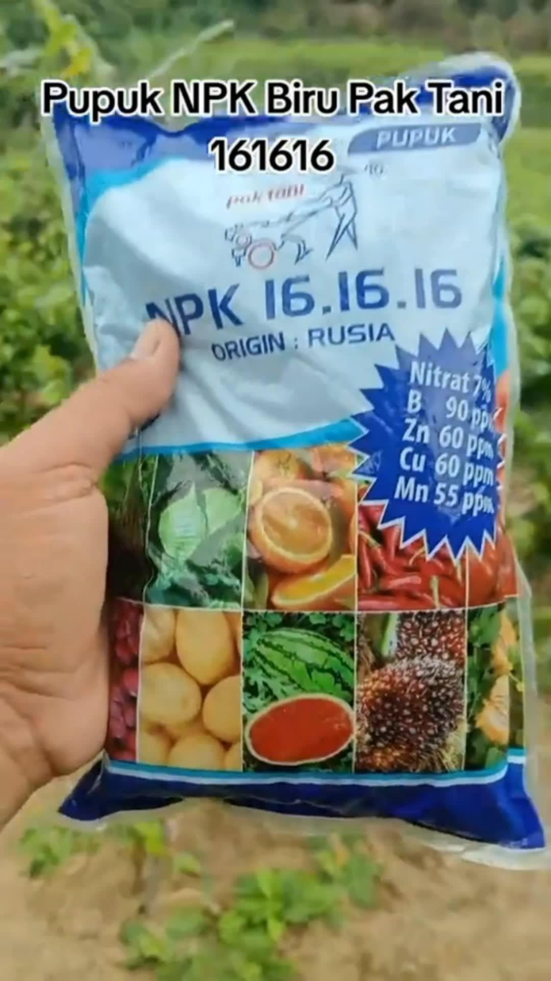Pupuk NPK Biru Pak Tani 16-16-16 #pupuk #pupuknpk #pupuknpkbiru #pupuknpkpaktani #pupuknpkmurah #pupuknpk161616 #pupuknpkbiru161616 #pupuknpkpaktani