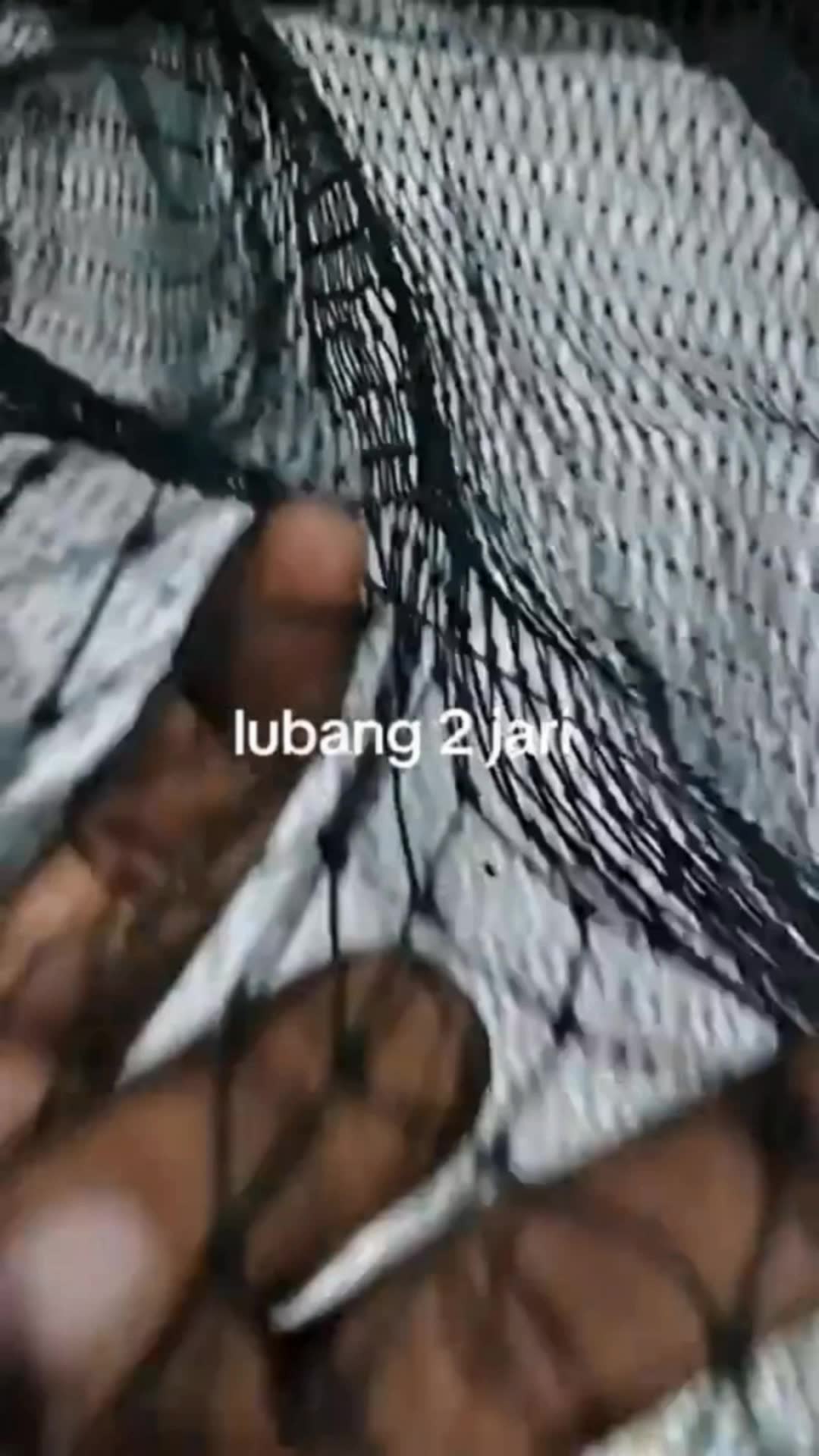 jaring ternak #jaringternak #jaringayam