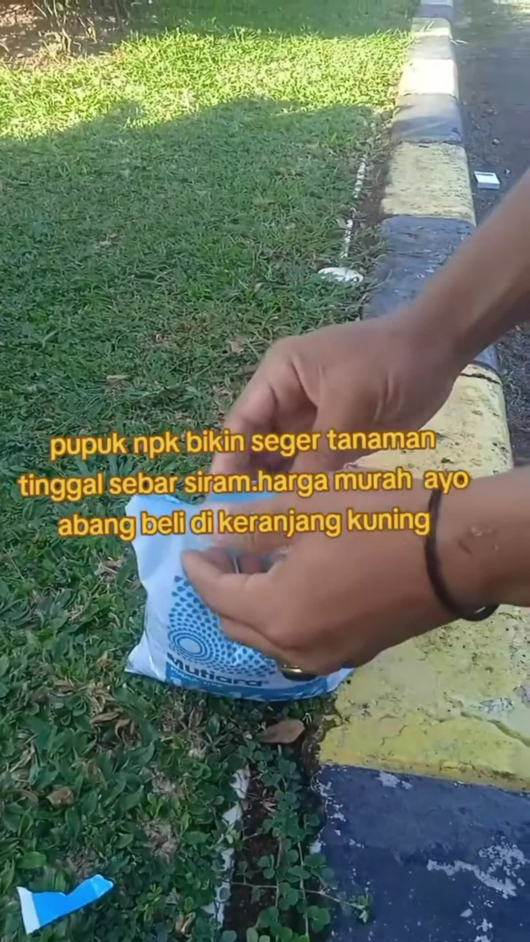 Pupuk NPK 16-16-16 Premium Kemasan Repack Nutrisi Tanaman Sayur Buah Buahan #pupuk #npk #RacunShopee #SpillRacunShopee #ViralDiShopeeVideo