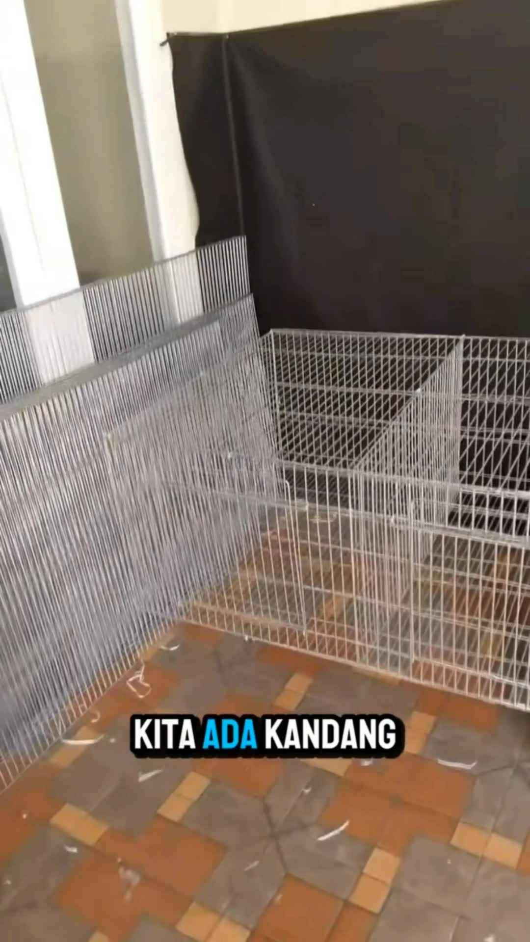 Kandang kelinci galvanis #kandangkelinci #kandangkelincigalvanis #RacunShopee #DiskonRacunShopee #SpillRacunShopee #SpillBawaBerkah #shopeevideo