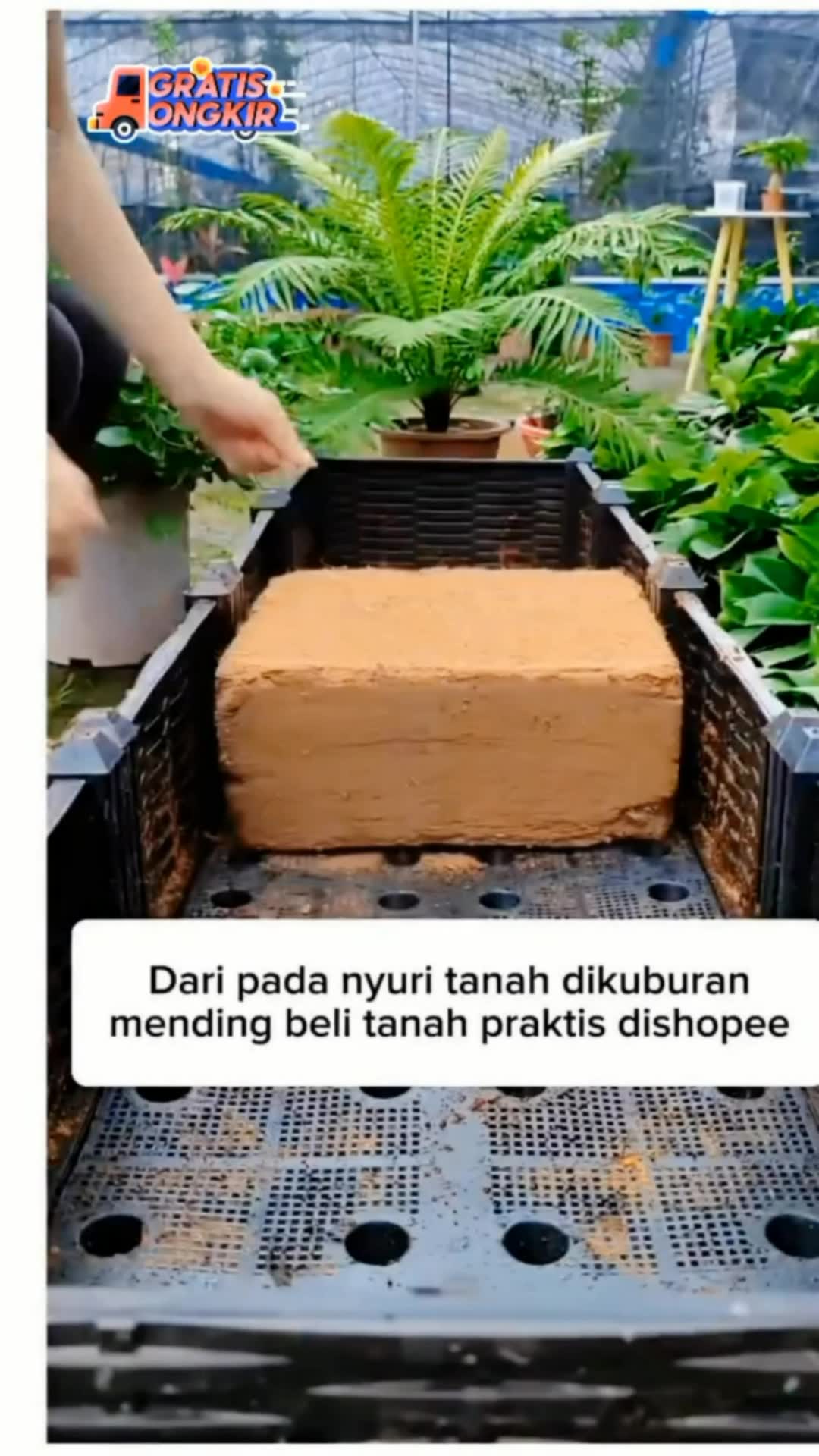 Cocopeat #cocopeatmurah #cocopeathalus #RacunShopee #ViralDiShopeeVideo #SpillRacunShopee #DiskonRacunShopee #shopeevideo #ShopeeCOD #ShopeeReview