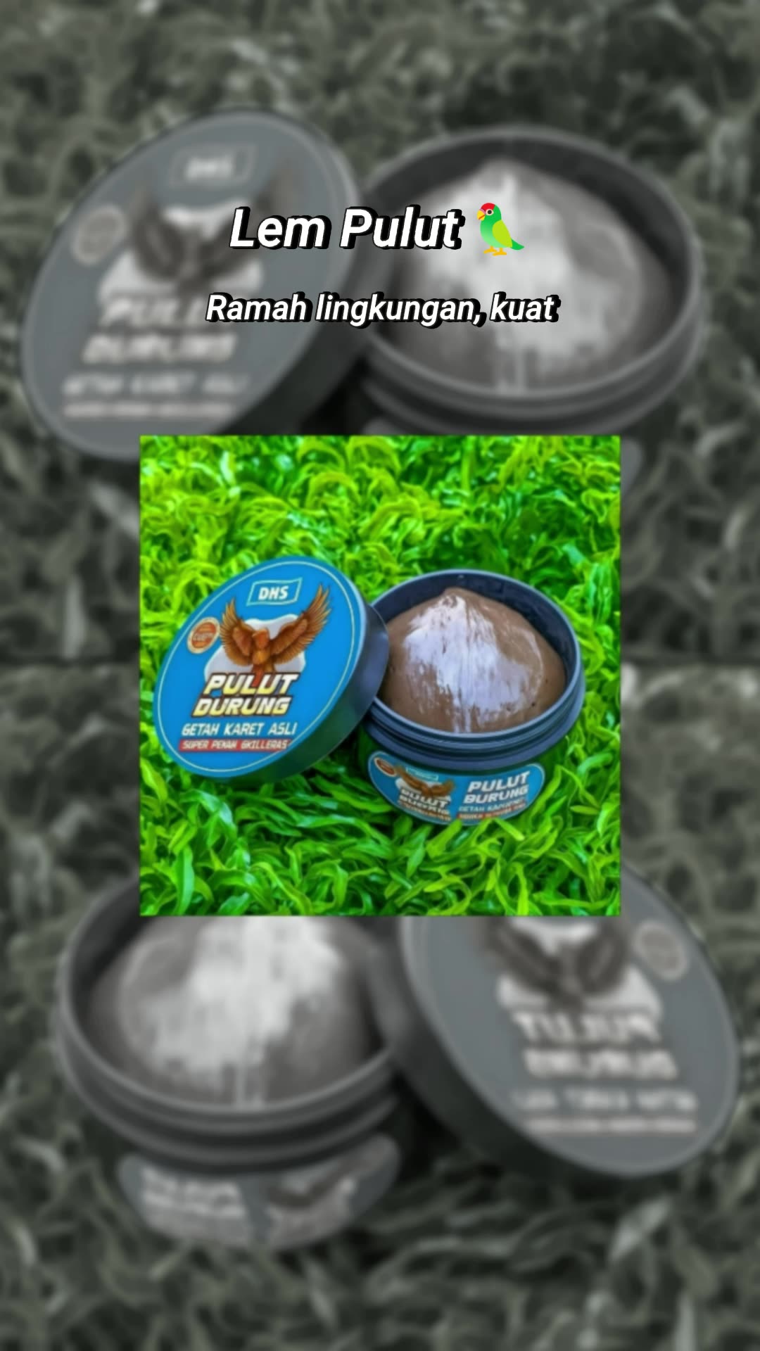 Lem pulut alami untuk ikat burung dan kerajinan #lemtradicional #getakaretasli #ikatburung #kerajinantangan #alamidankuatk
