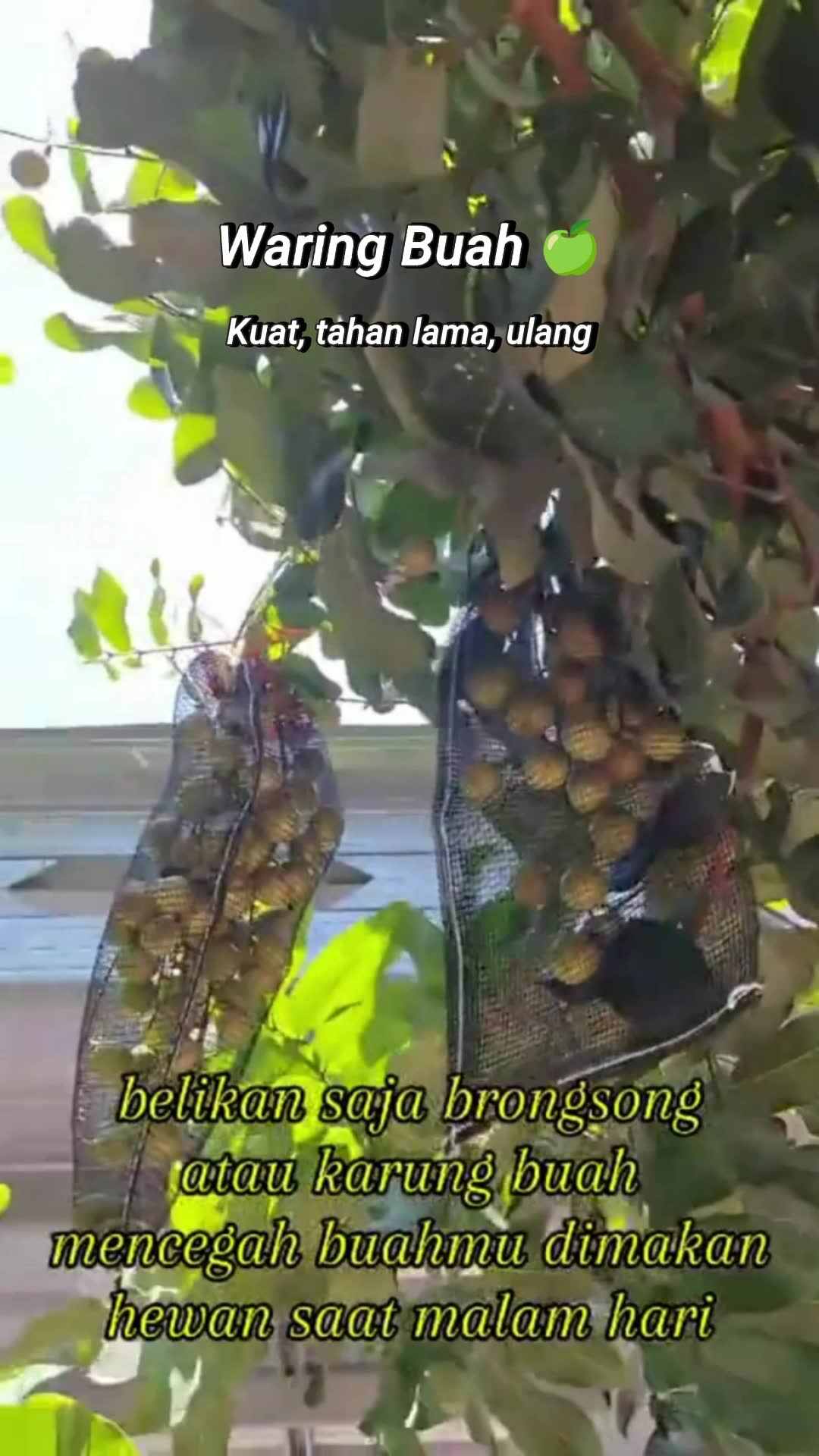Waring Pembungkus Buah #RacunShopee #SpillRacunShopee #ViralDiShopeeVideo #GratisOngkirRP0 #DiskonRacunShopee #waringbuah