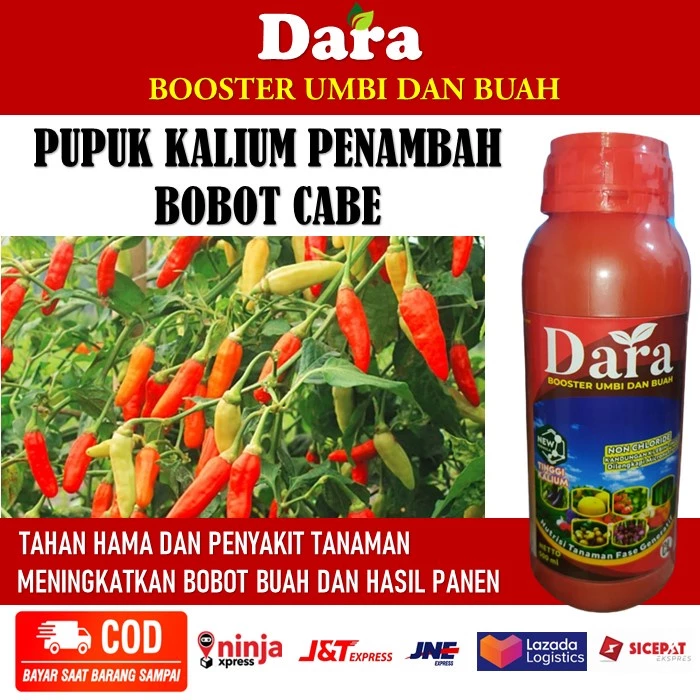 (LANGSUNG KIRIM) PUPUK ORGANIK KALIUM DARA PENAMBAH BOBOT CABE - PUPUK ORGANIK KALIUM DARA MENAMBAH HASIL PANEN - PUPUK SEMPROT PELEBAT CABE PALING AMPUH - PUPUK ORGANIK KALIUM DARA MEINGKATKAN DAYA TAHAN HAMA & PENYAKIT TANAMAN